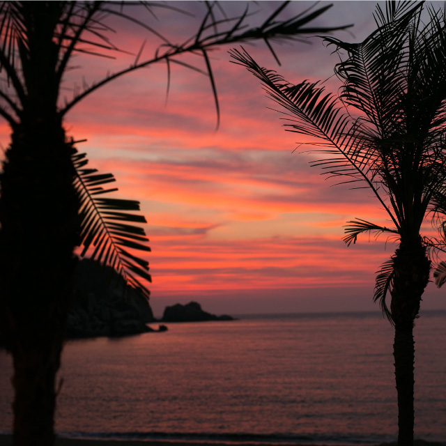時間を気にせず1日中楽しむ